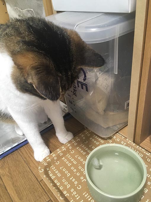 f:id:pancia:20180719200755j:plain