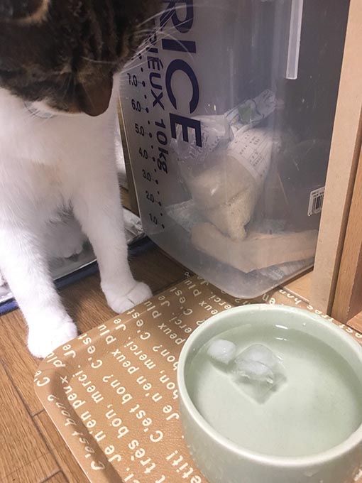 f:id:pancia:20180719200822j:plain