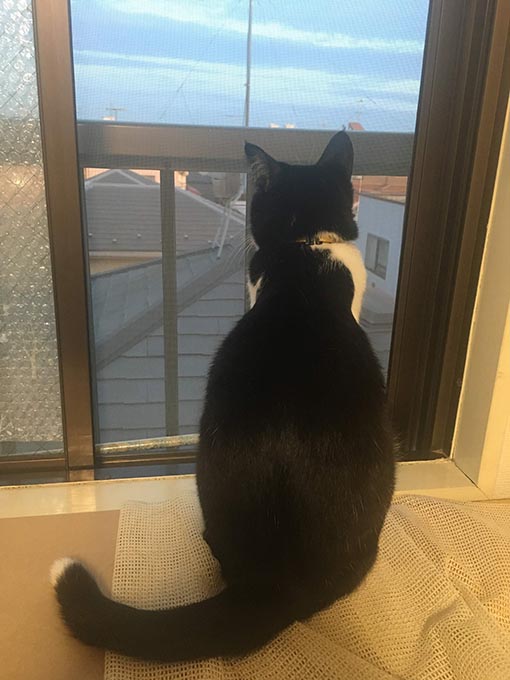 f:id:pancia:20180719201855j:plain