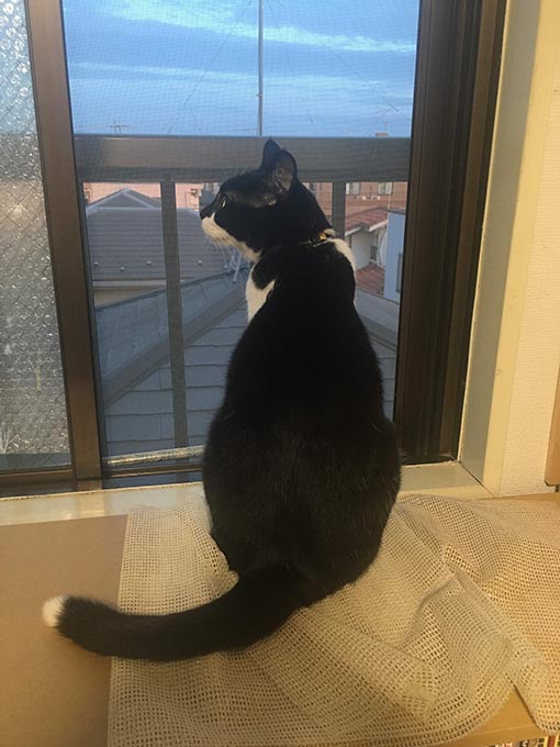 f:id:pancia:20180719201917j:plain