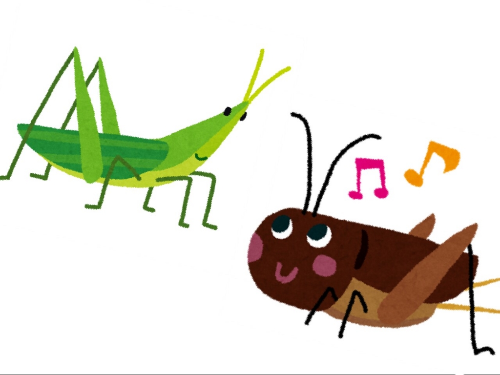 155 愛すべき生き物たち コオロギ バッタ 何気ない日々の生活に保育のヒントを見つけたい