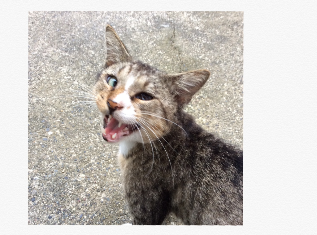 f:id:panda-mzlbk:20161003232615p:plain