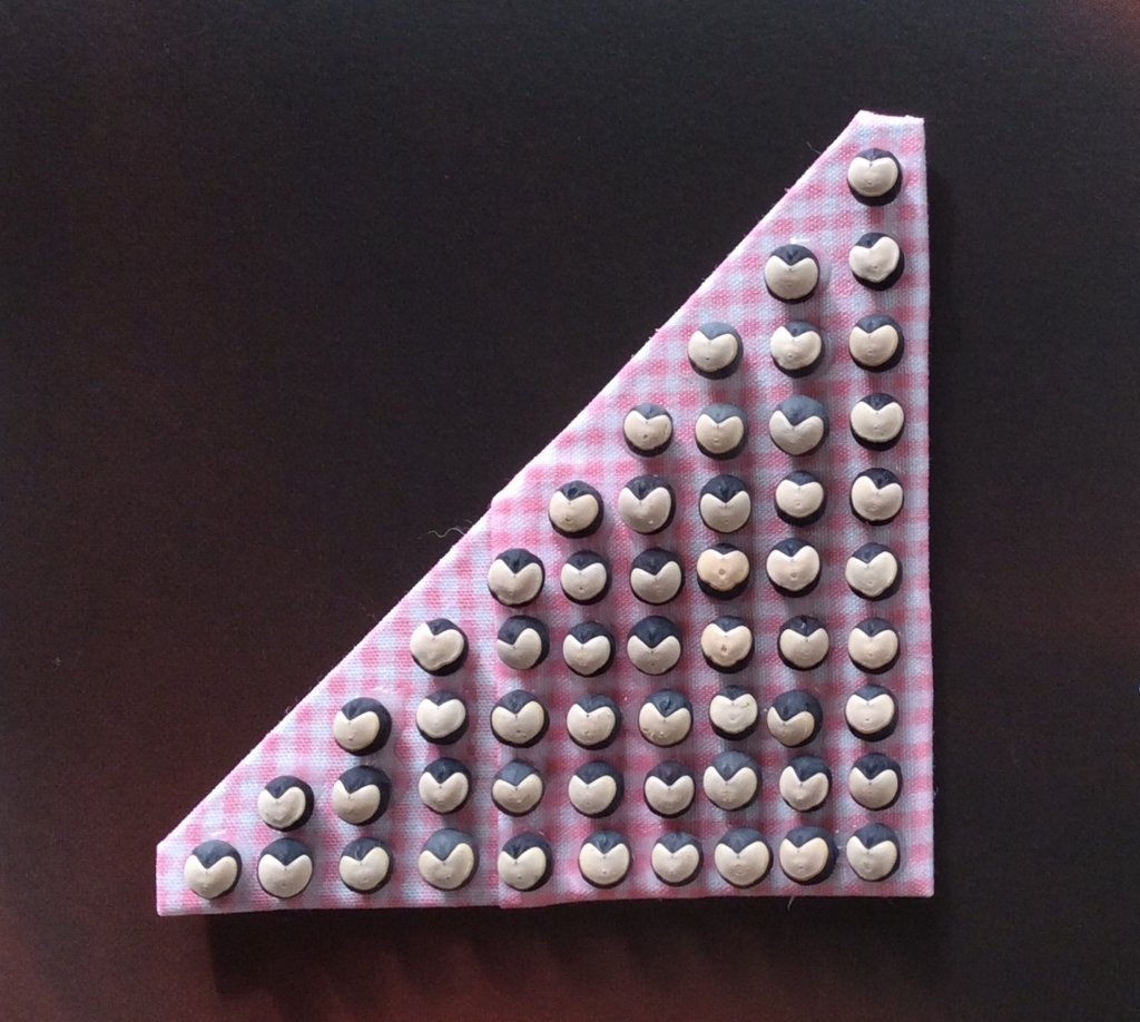 248 フウセンカズラで作ってみた 何気ない日々の生活に保育のヒントを見つけたい