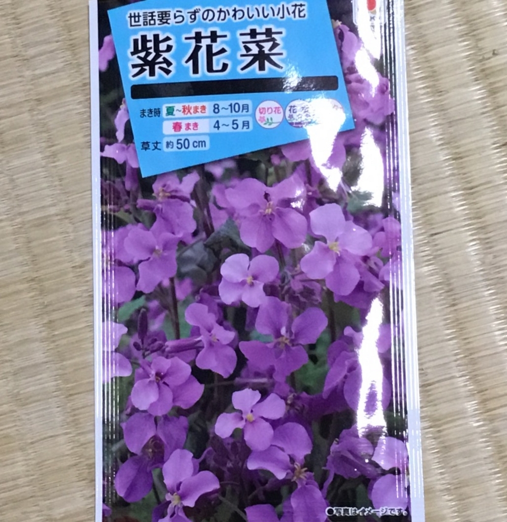 f:id:panda-mzlbk:20171009134301j:plain f:id:panda-mzlbk:20171009134301j:plain