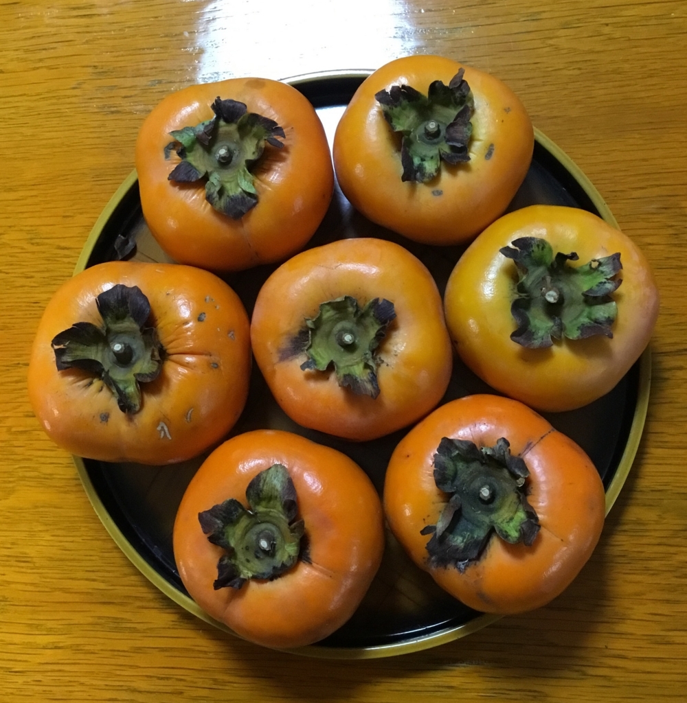 f:id:panda-mzlbk:20171024170709j:plain