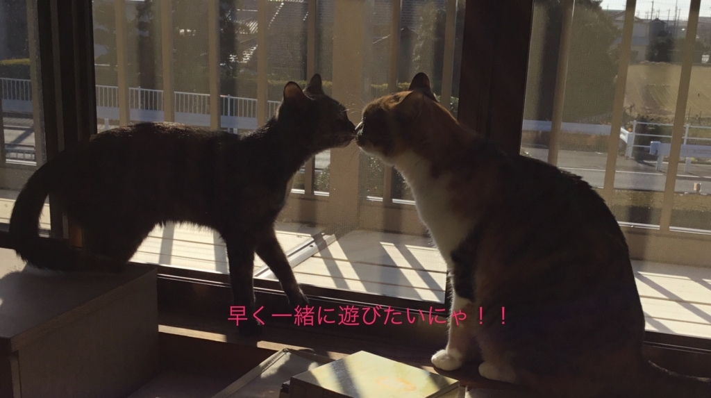 f:id:panda-mzlbk:20171223102024j:plain