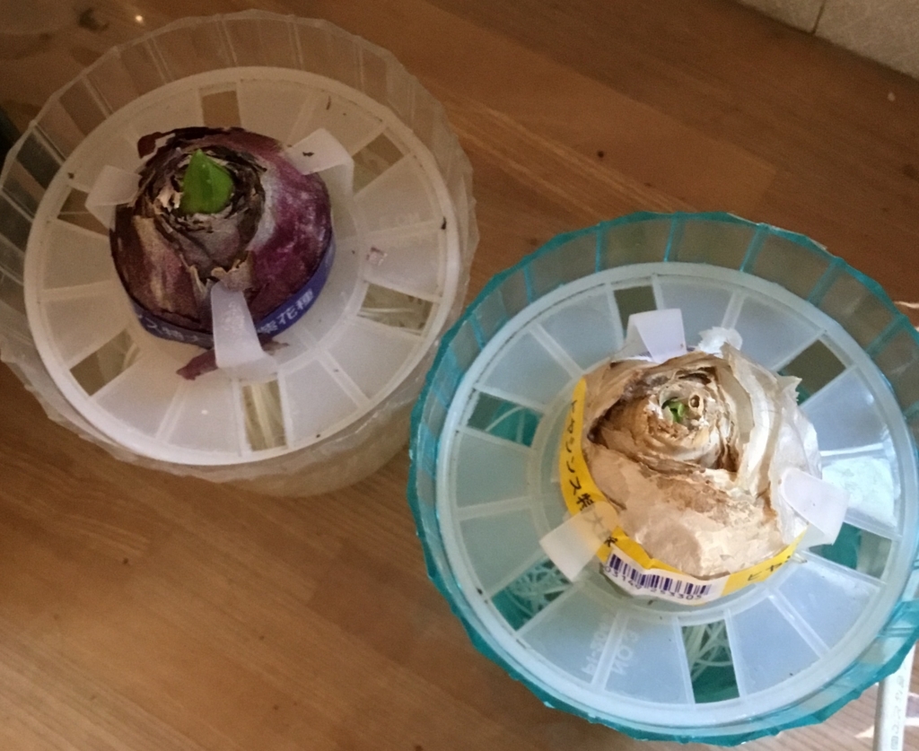 f:id:panda-mzlbk:20180104101240j:plain