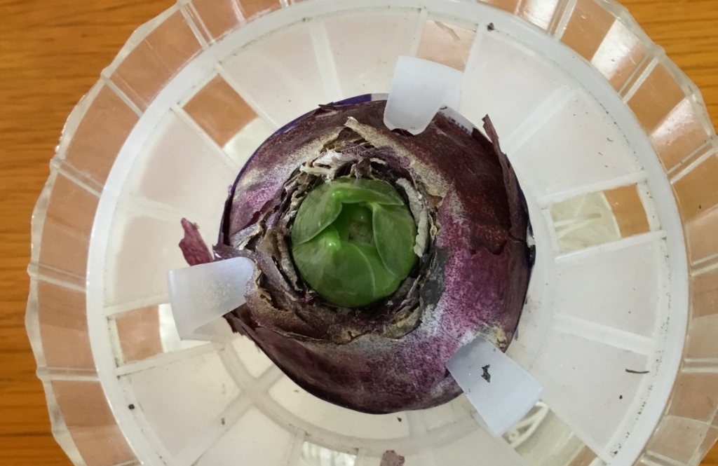 f:id:panda-mzlbk:20180104101339j:plain f:id:panda-mzlbk:20180104101339j:plain