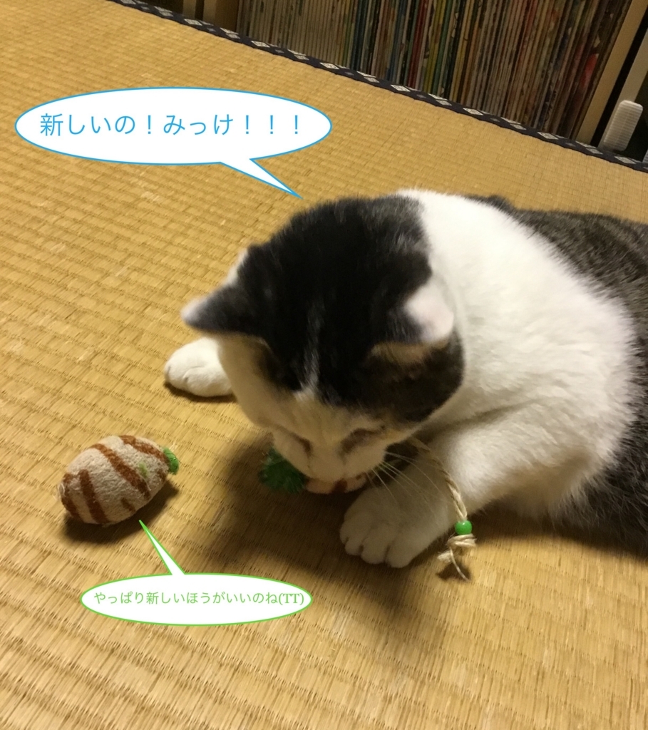 f:id:panda-mzlbk:20180201184850j:plain