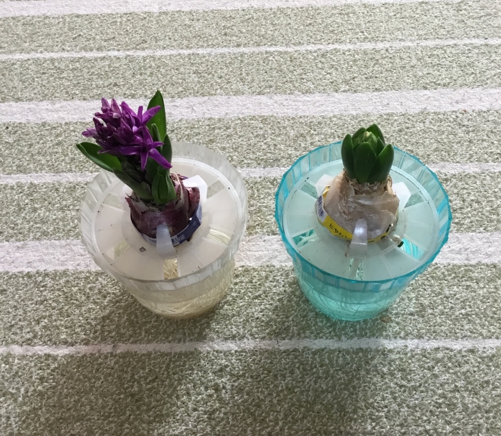 f:id:panda-mzlbk:20180207193544j:plain