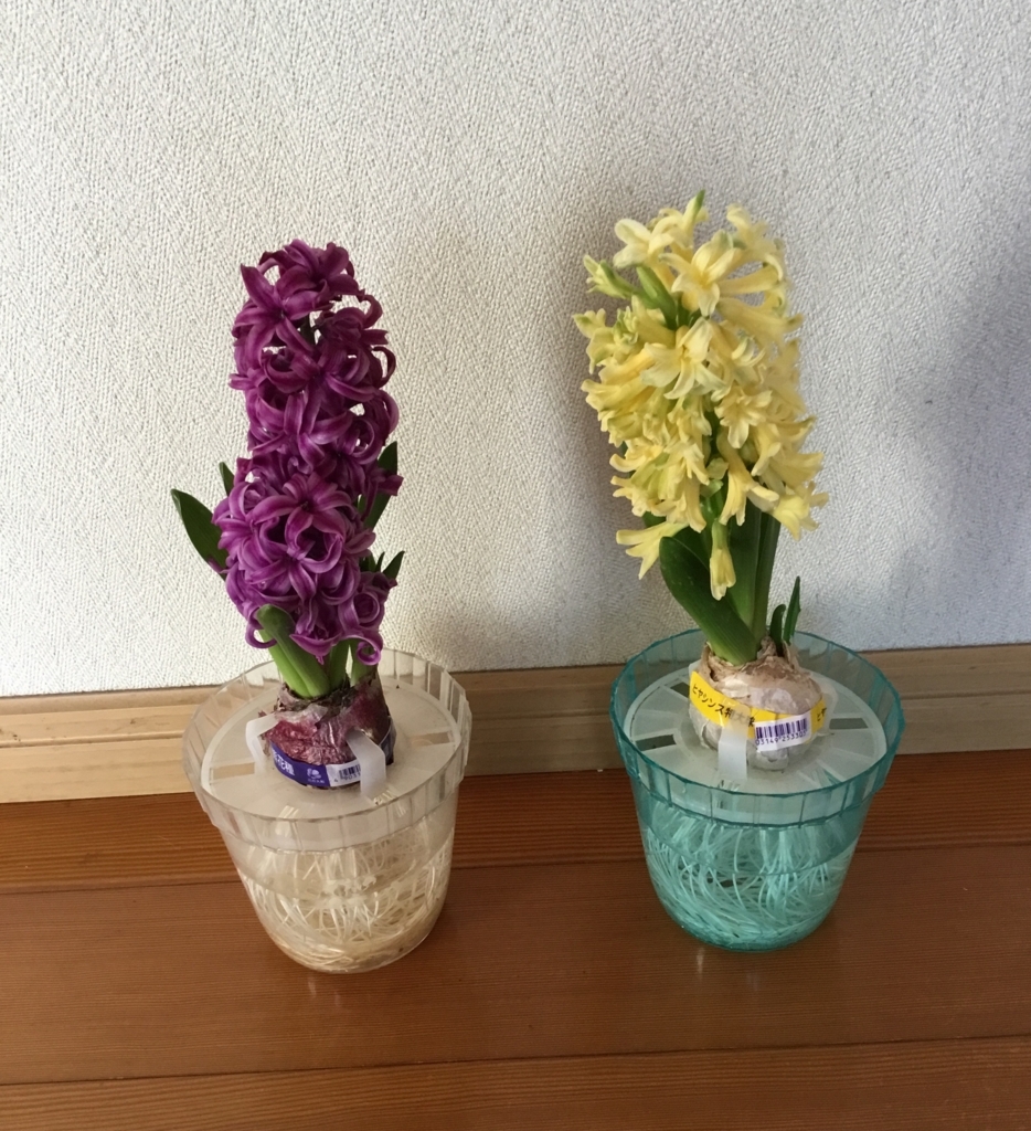 f:id:panda-mzlbk:20180227141604j:plain