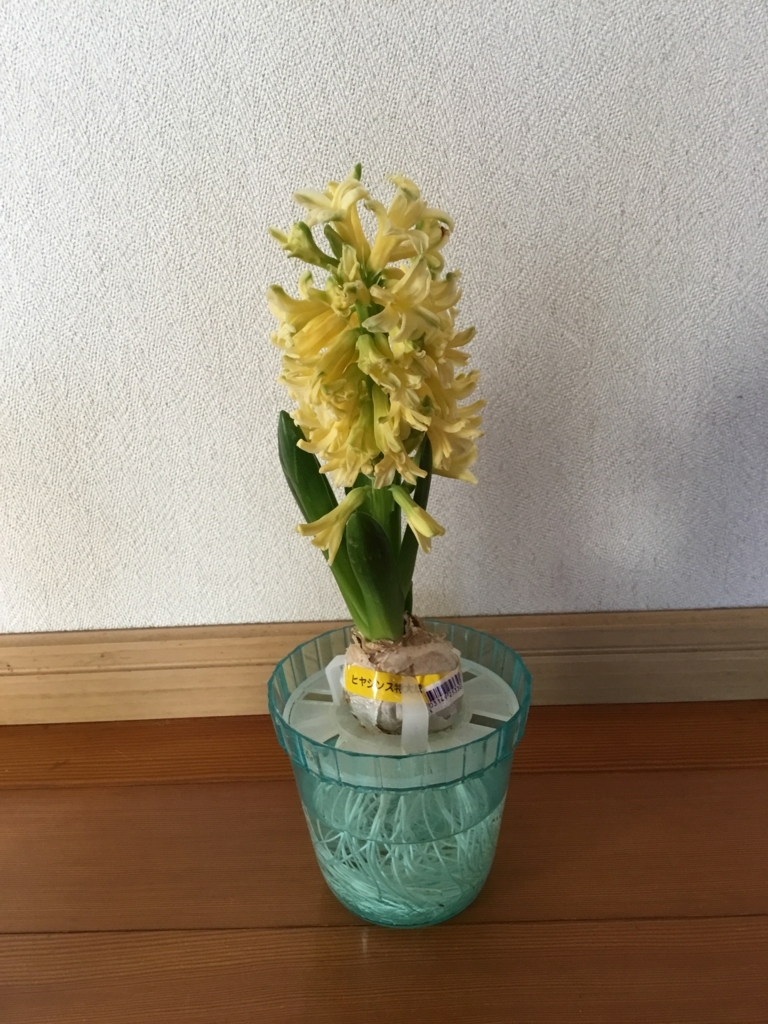 f:id:panda-mzlbk:20180227141615j:plain