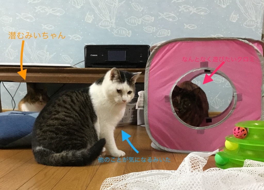 f:id:panda-mzlbk:20180306095012j:plain