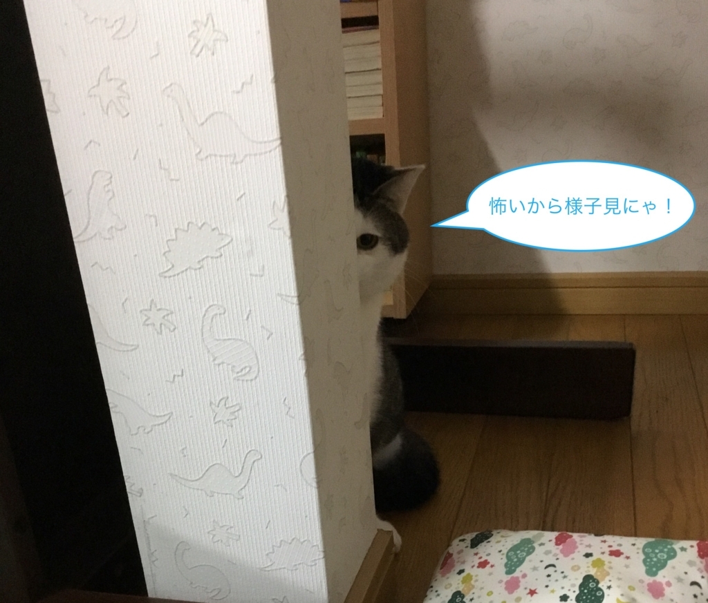 f:id:panda-mzlbk:20180306104548j:plain