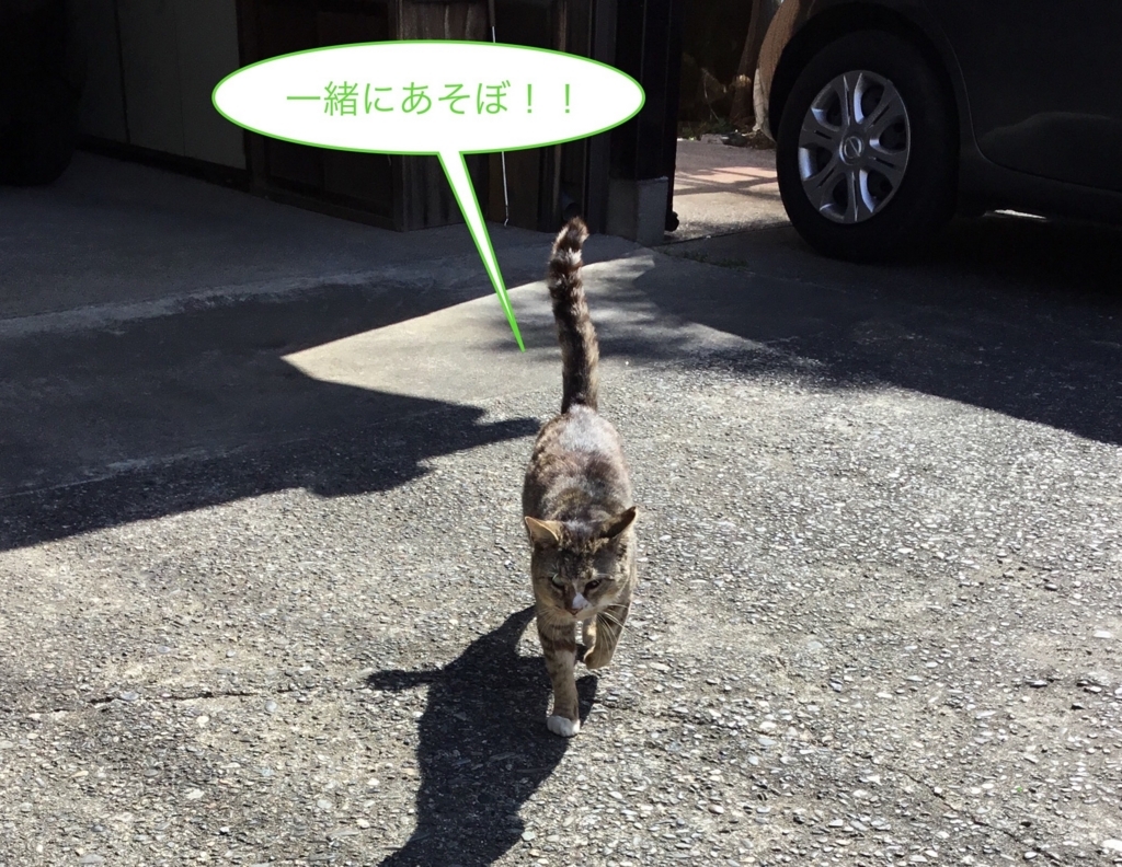 f:id:panda-mzlbk:20180306230659j:plain f:id:panda-mzlbk:20180306230659j:plain