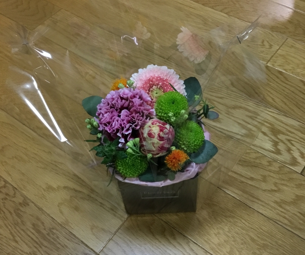 f:id:panda-mzlbk:20180409193843j:plain