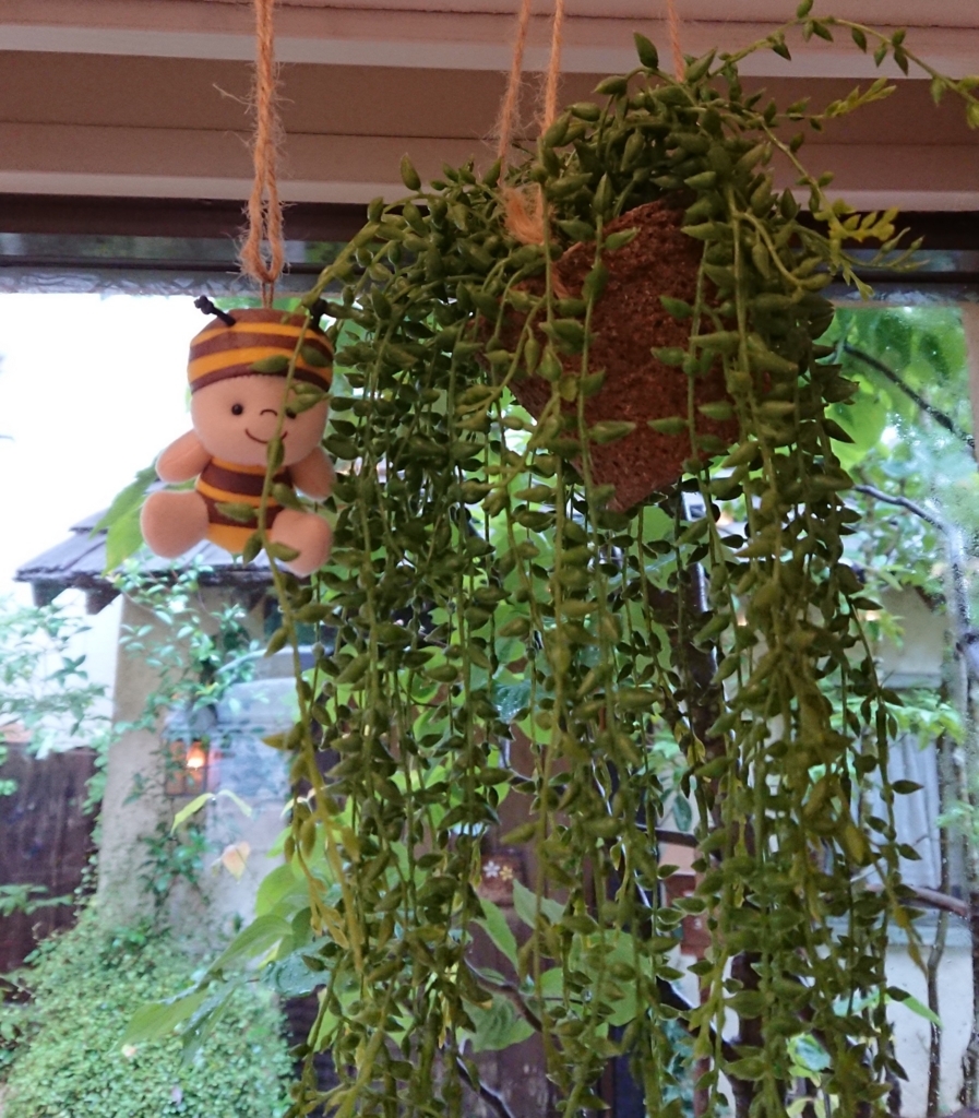 f:id:panda-mzlbk:20180706200112j:plain