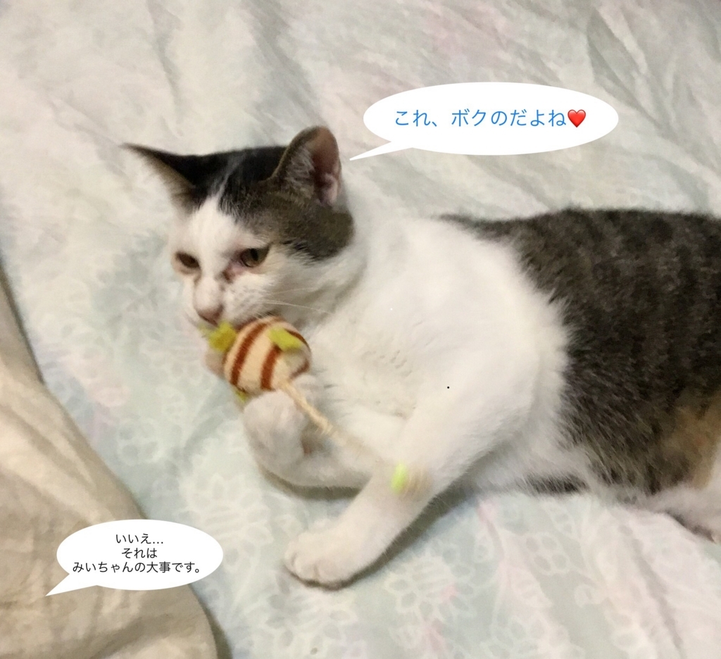 f:id:panda-mzlbk:20180712191808j:plain