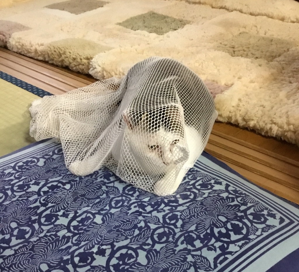 f:id:panda-mzlbk:20180719202955j:plain