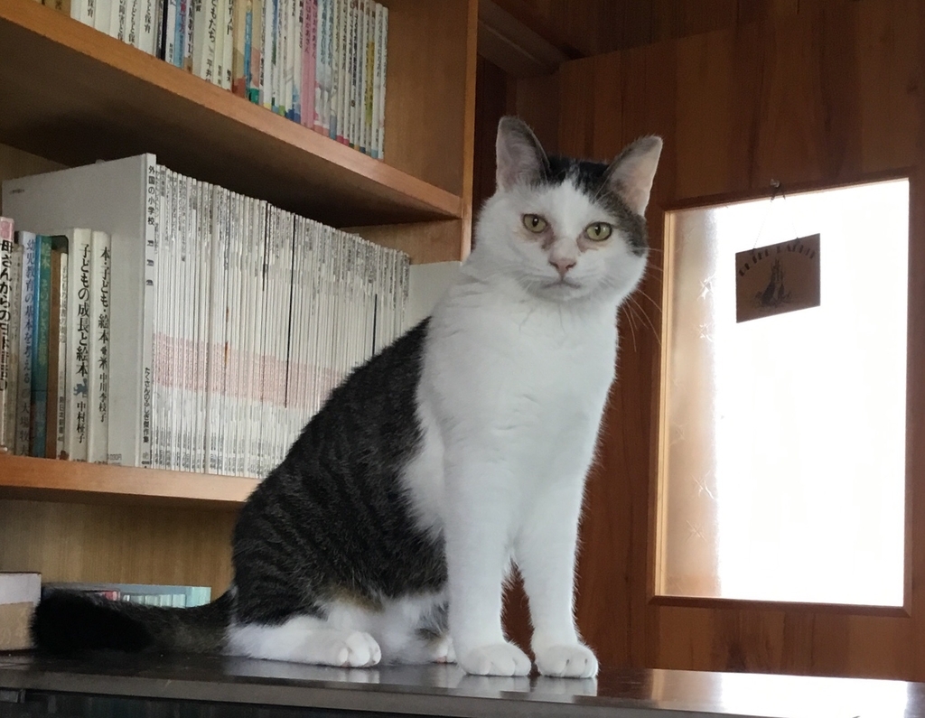 f:id:panda-mzlbk:20180907104437j:plain f:id:panda-mzlbk:20180907104437j:plain