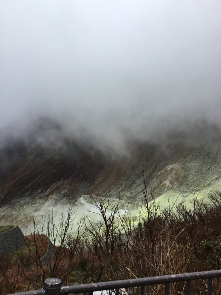 f:id:panda-mzlbk:20181027220828j:plain