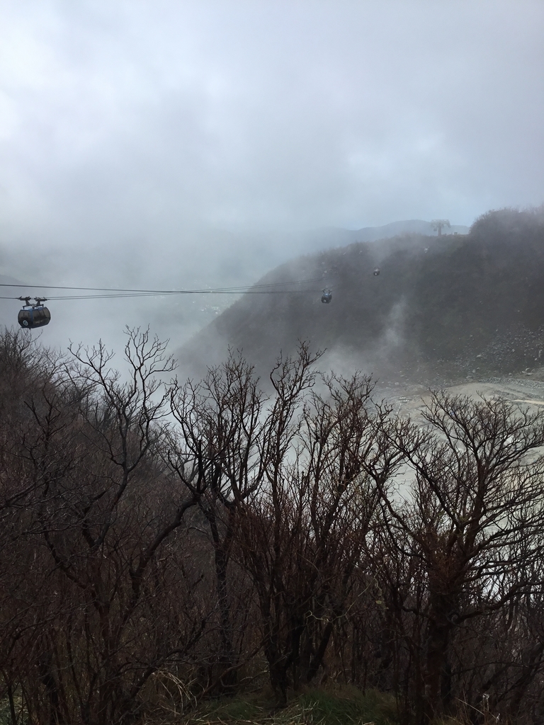 f:id:panda-mzlbk:20181027220838j:plain