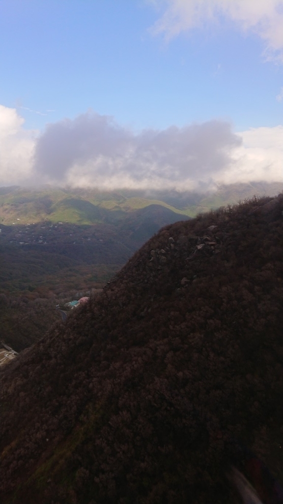 f:id:panda-mzlbk:20181027221312j:plain