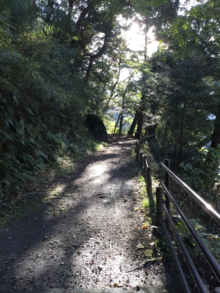 f:id:panda-mzlbk:20181027221936j:plain
