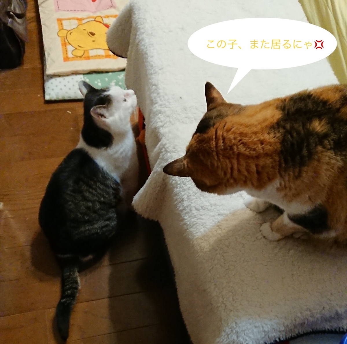 f:id:panda-mzlbk:20190331214428j:plain