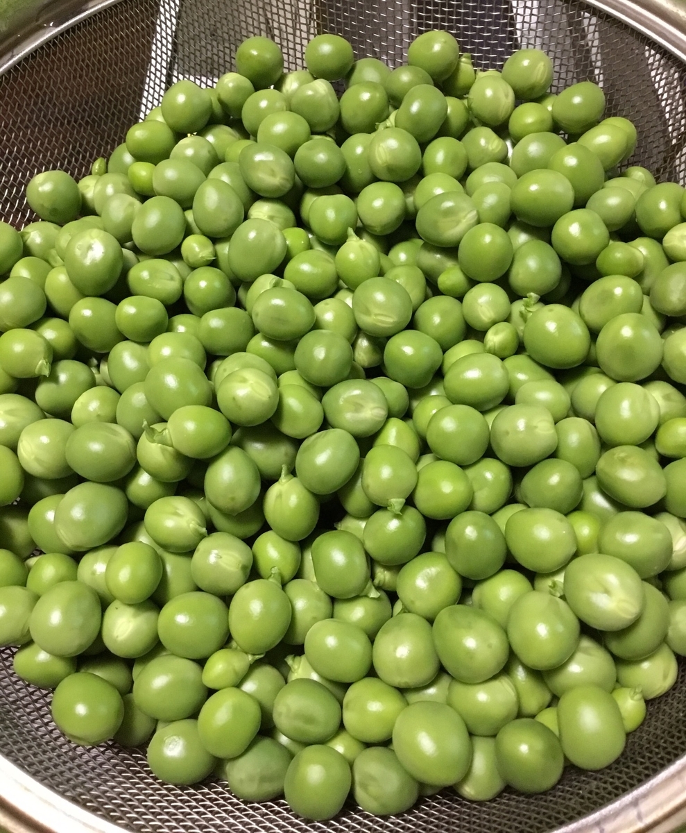 f:id:panda-mzlbk:20190501090423j:plain f:id:panda-mzlbk:20190501090423j:plain