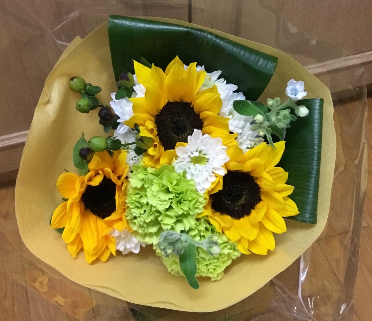 f:id:panda-mzlbk:20190603234756j:plain