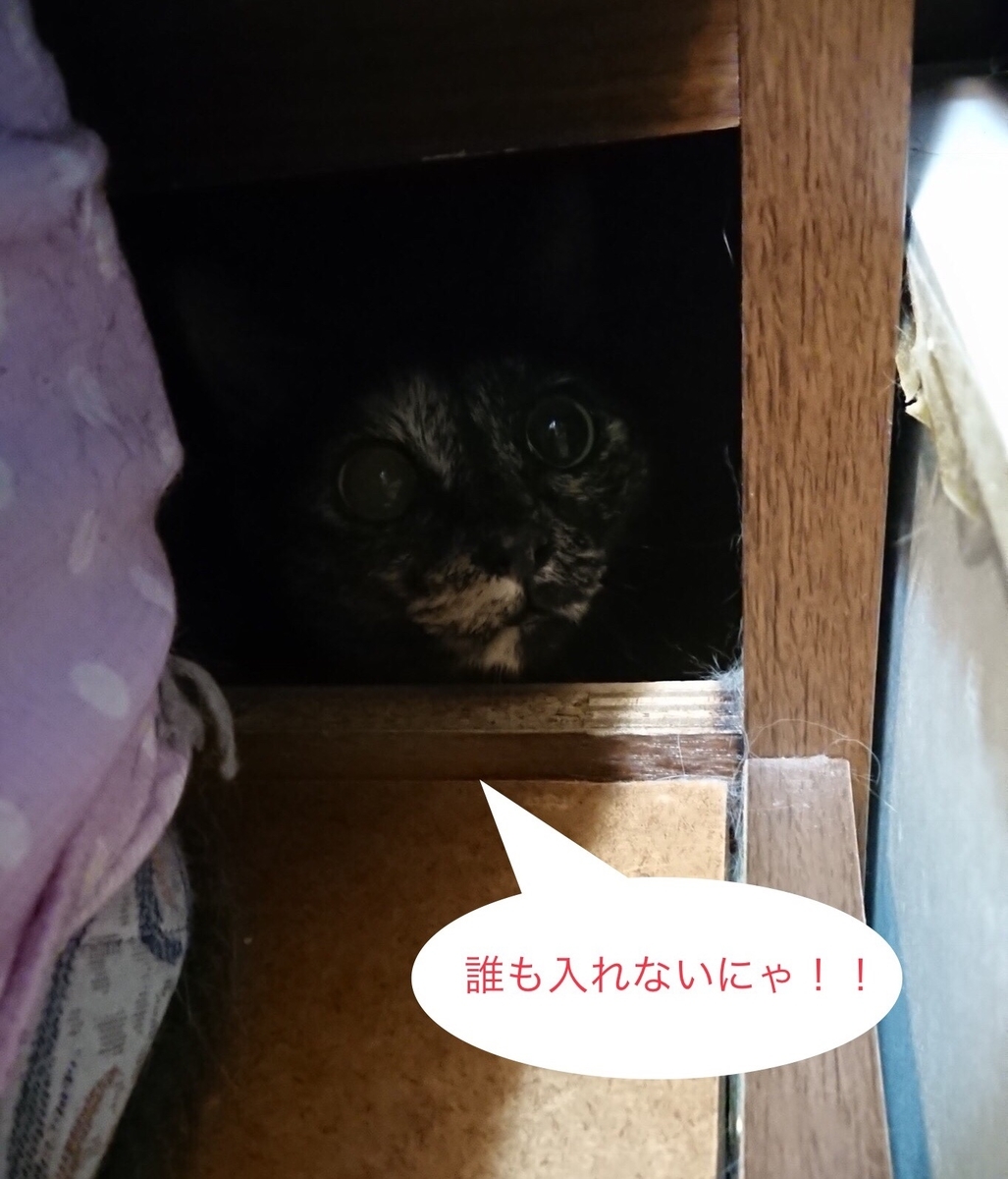 f:id:panda-mzlbk:20190615224506j:plain f:id:panda-mzlbk:20190615224506j:plain
