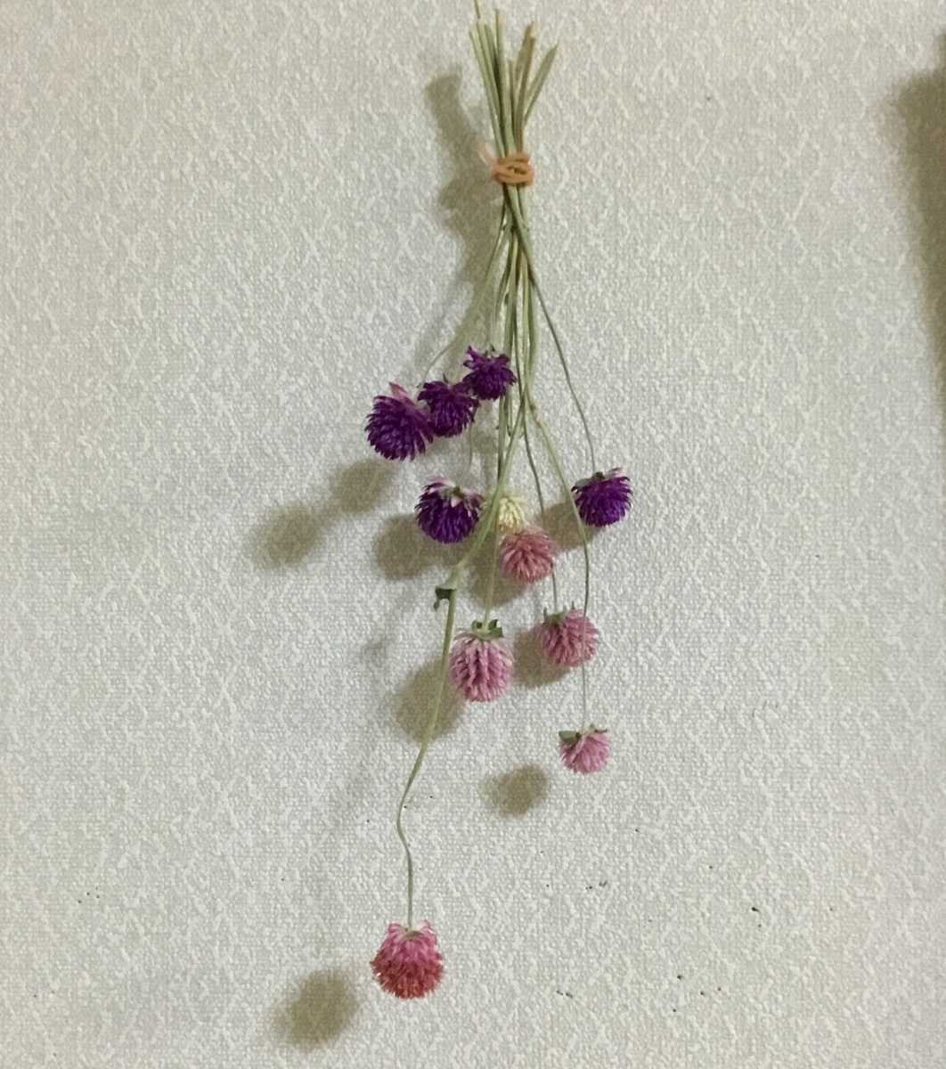 f:id:panda-mzlbk:20190917230405j:plain