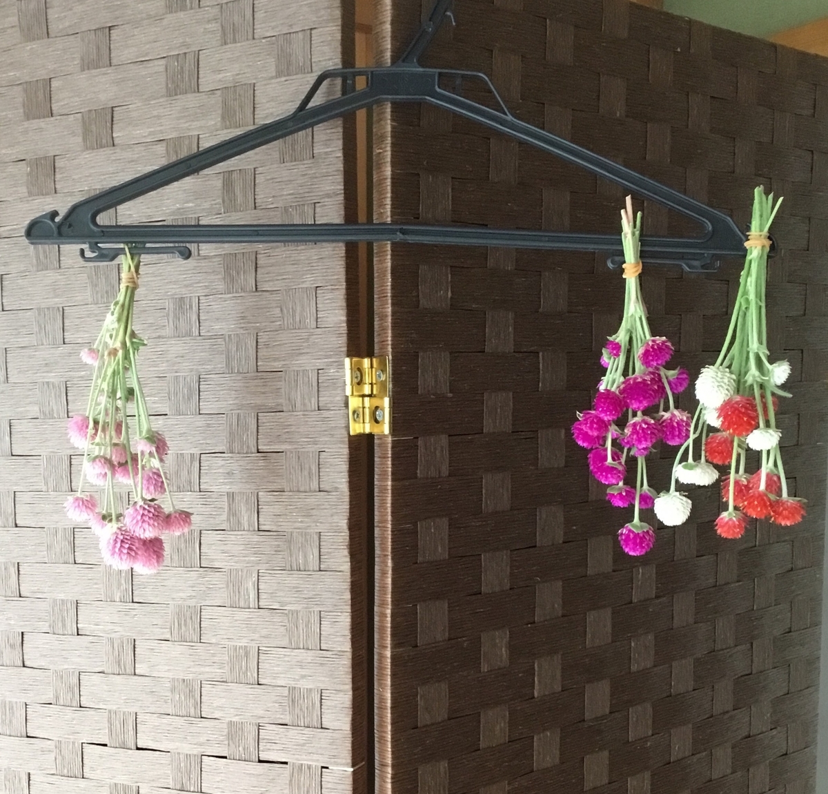 f:id:panda-mzlbk:20190917230503j:plain