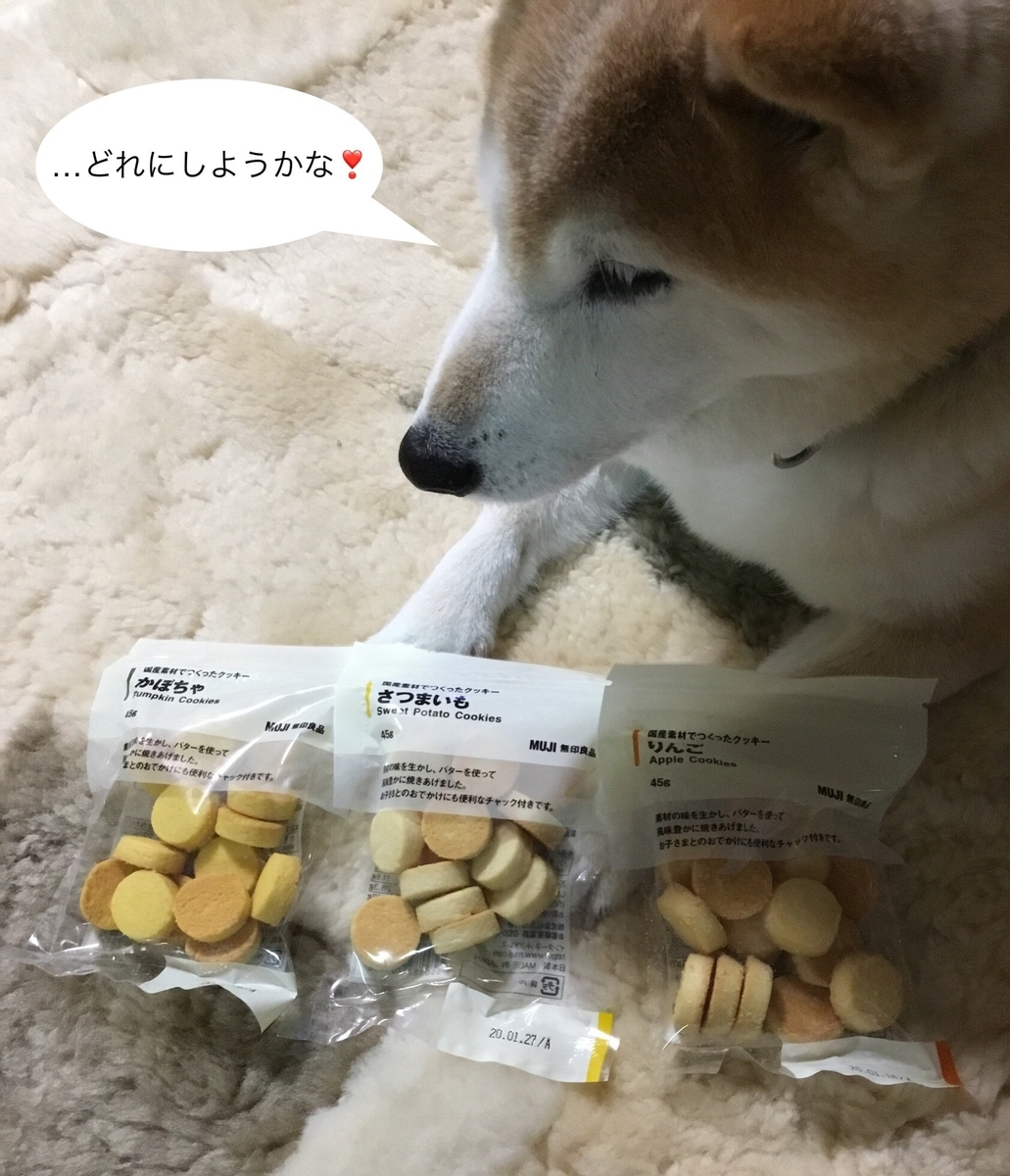 f:id:panda-mzlbk:20191119233444j:plain