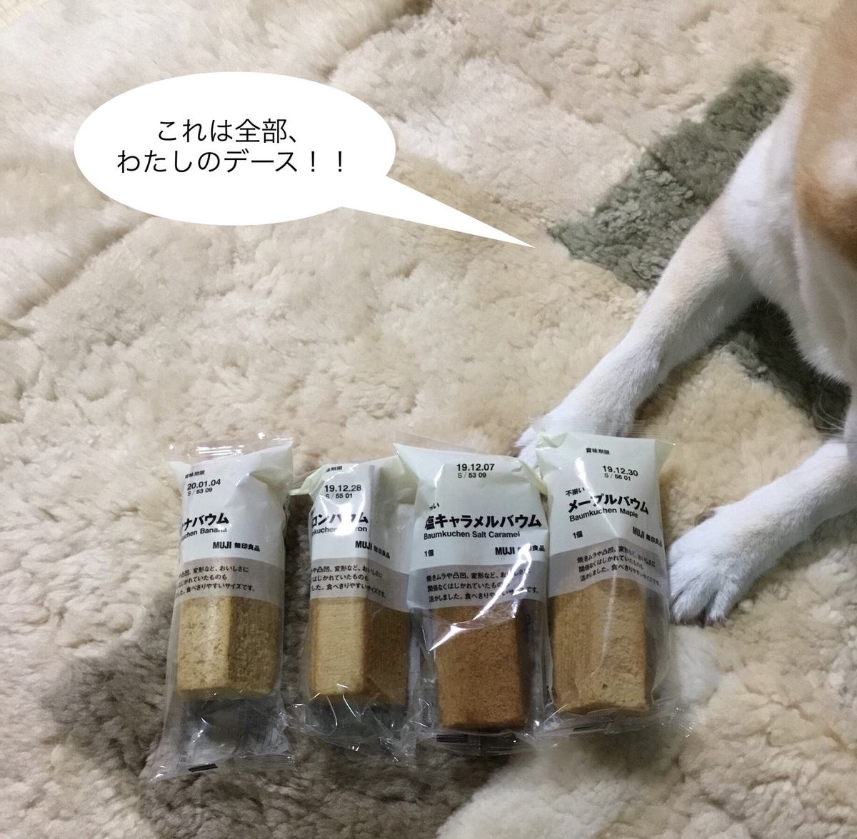 f:id:panda-mzlbk:20191119233514j:plain