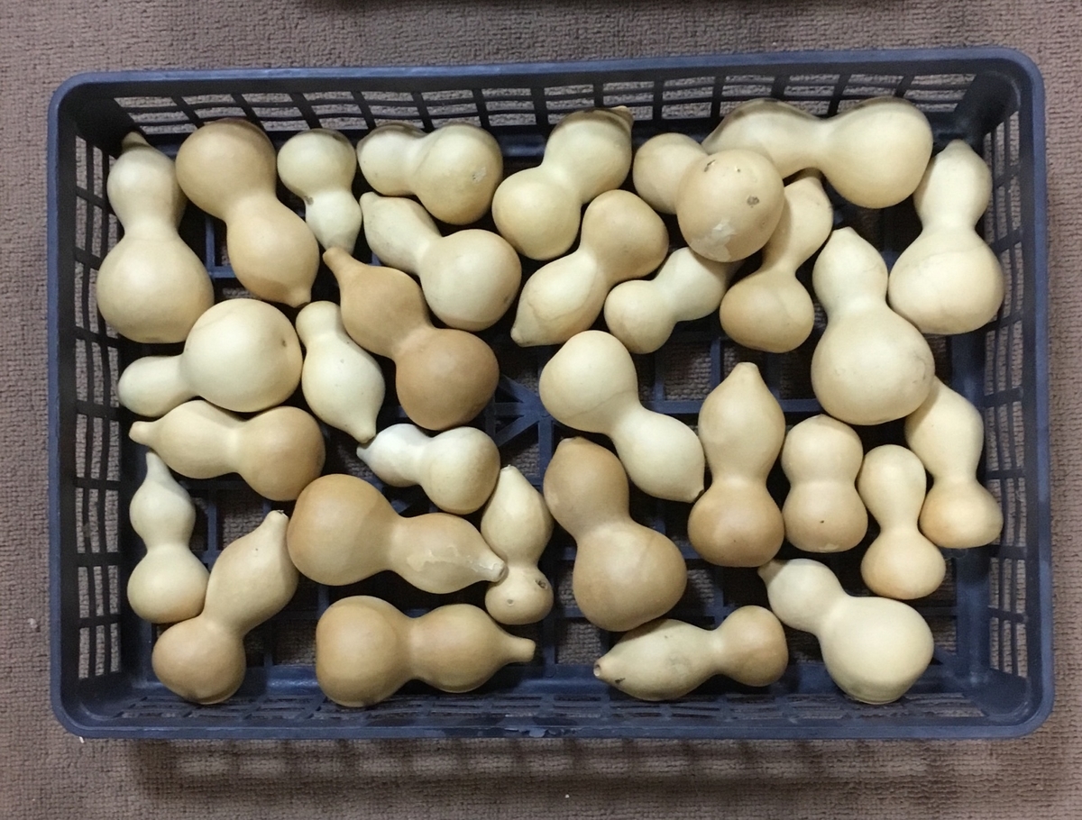 f:id:panda-mzlbk:20191207220616j:plain f:id:panda-mzlbk:20191207220616j:plain
