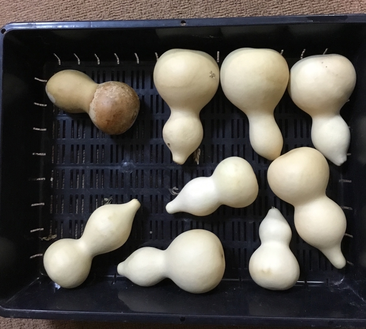 f:id:panda-mzlbk:20191207220622j:plain f:id:panda-mzlbk:20191207220622j:plain