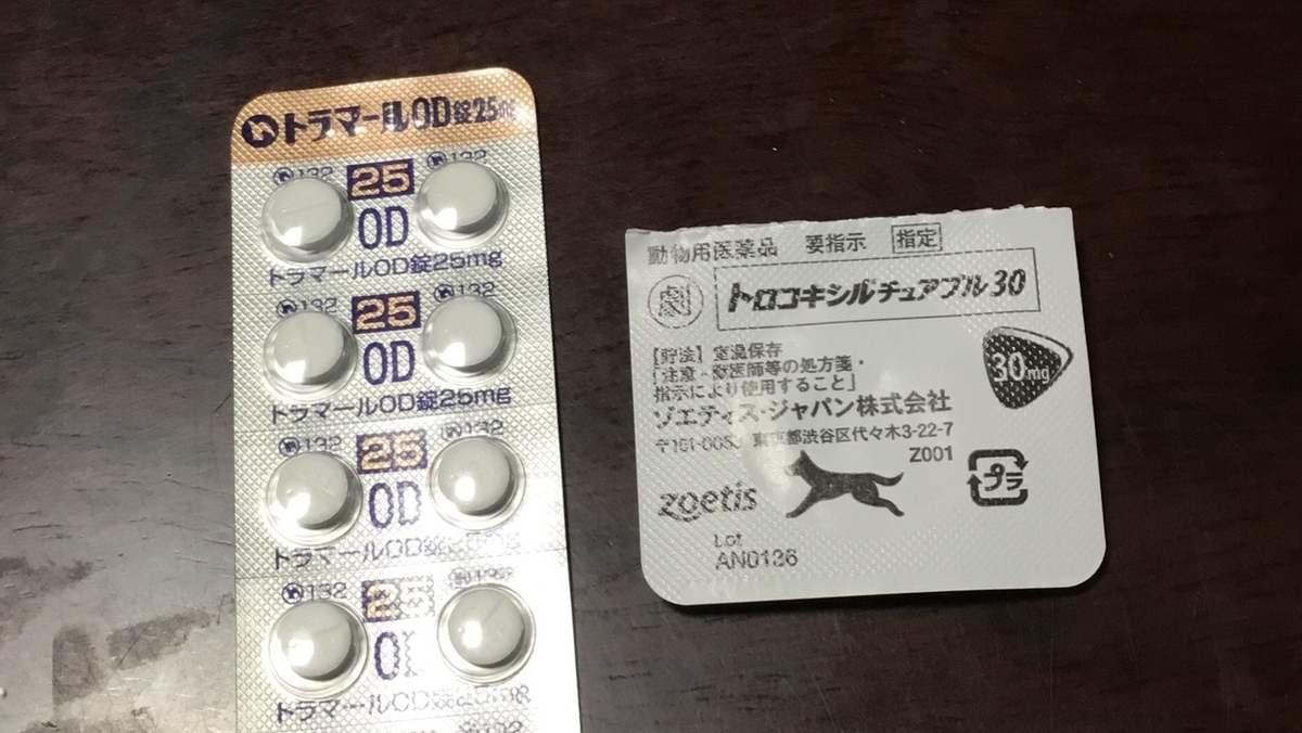 f:id:panda-mzlbk:20200213190727j:plain