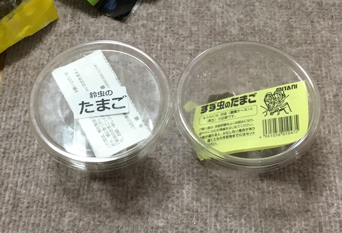 f:id:panda-mzlbk:20200425124552j:plain f:id:panda-mzlbk:20200425124552j:plain