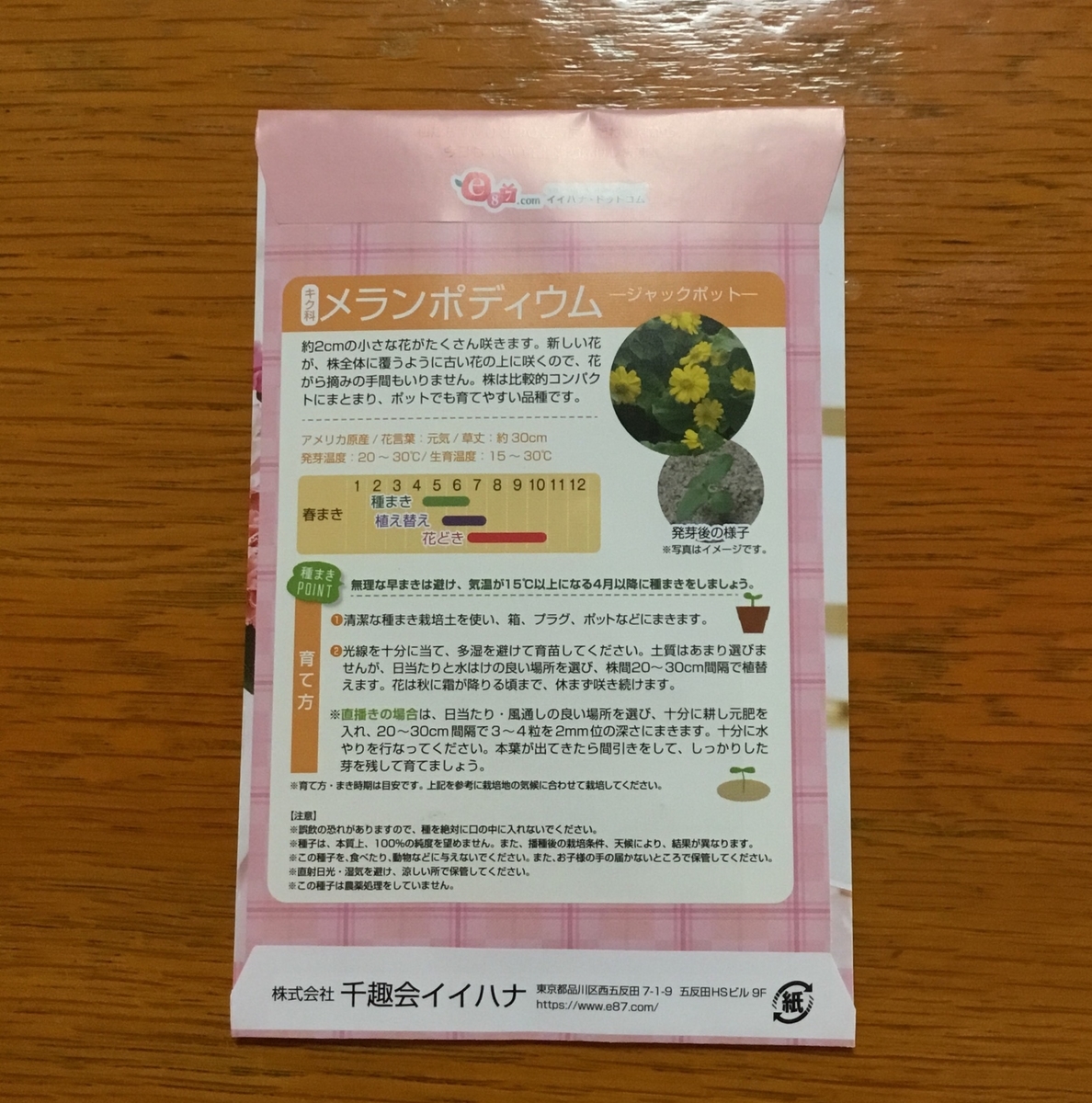 f:id:panda-mzlbk:20200509231442j:plain