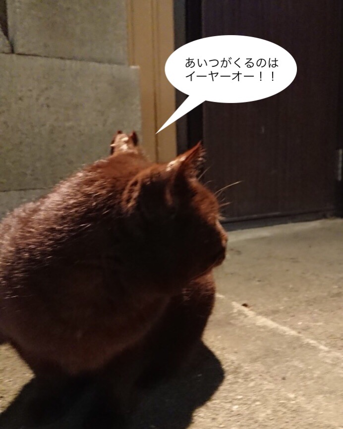 f:id:panda-mzlbk:20201201203301j:plain