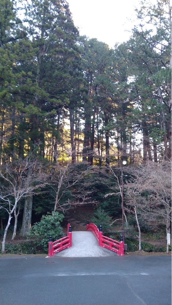 f:id:panda-mzlbk:20211219204548j:image