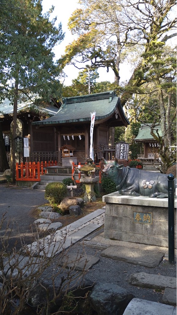 f:id:panda-mzlbk:20220129220303j:image