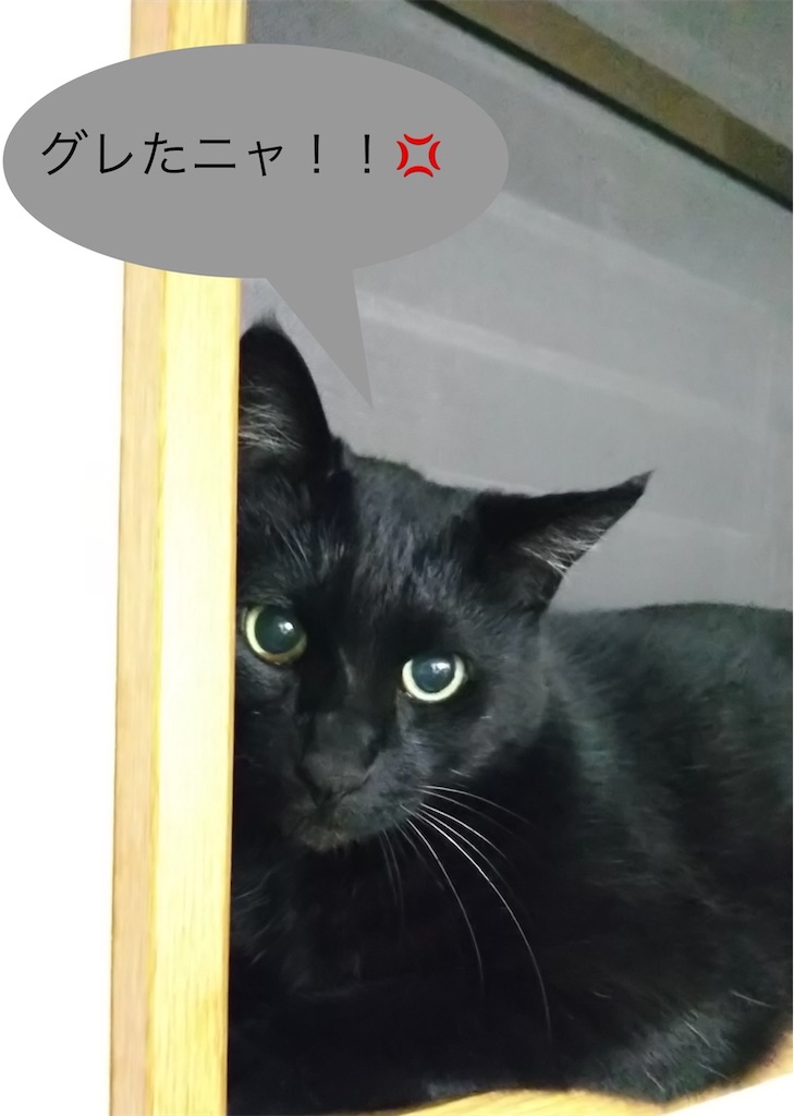 f:id:panda-mzlbk:20220507082855j:image