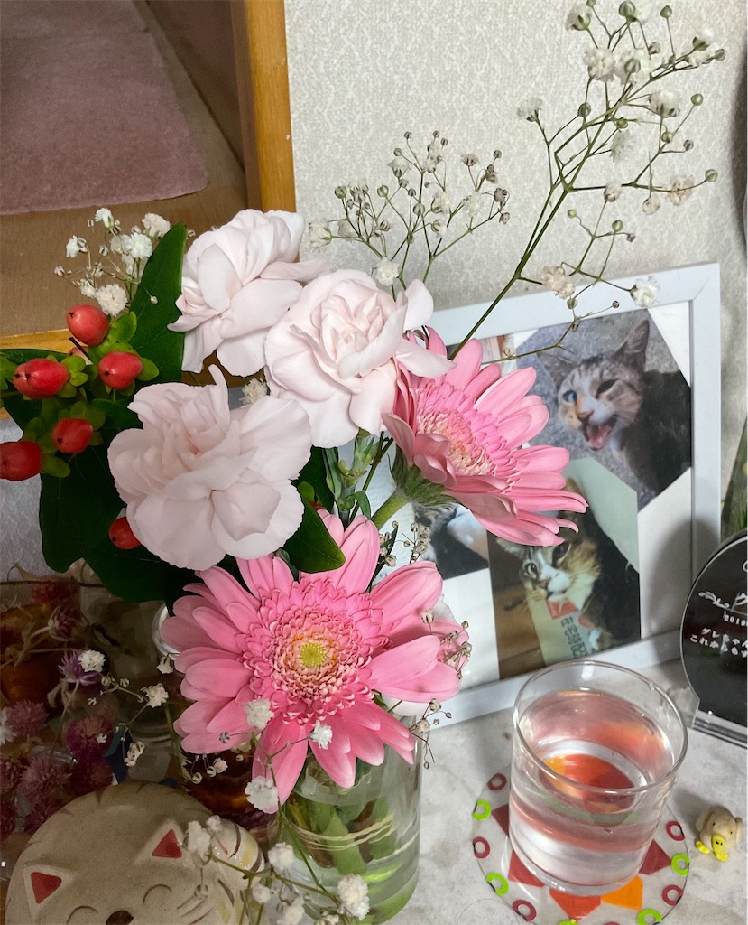 f:id:panda-mzlbk:20220730171034j:image