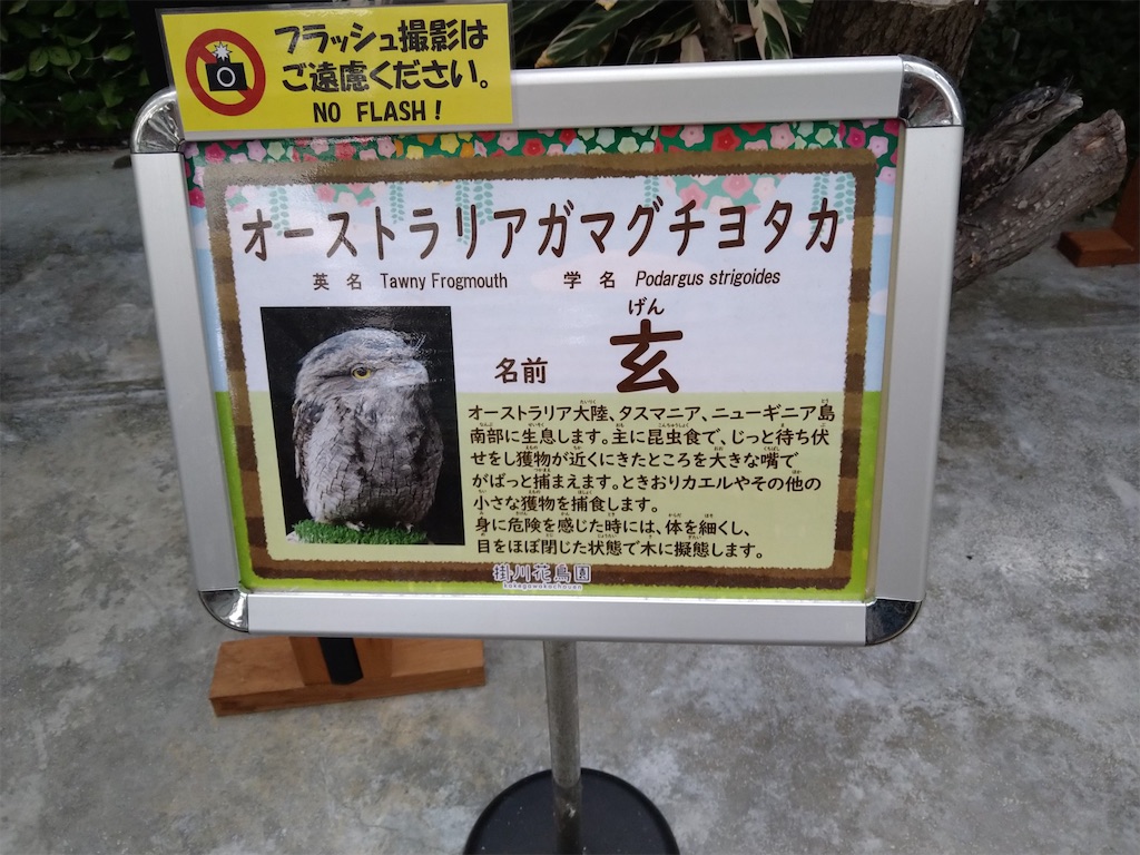 f:id:panda-mzlbk:20230121211737j:image