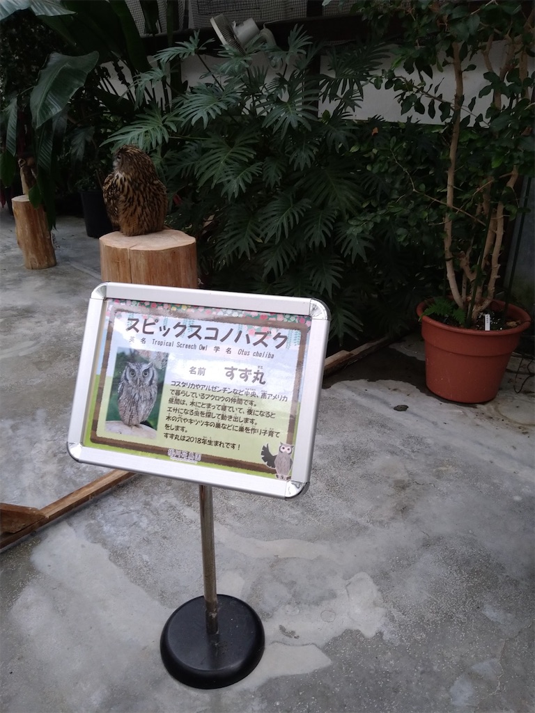 f:id:panda-mzlbk:20230121211804j:image