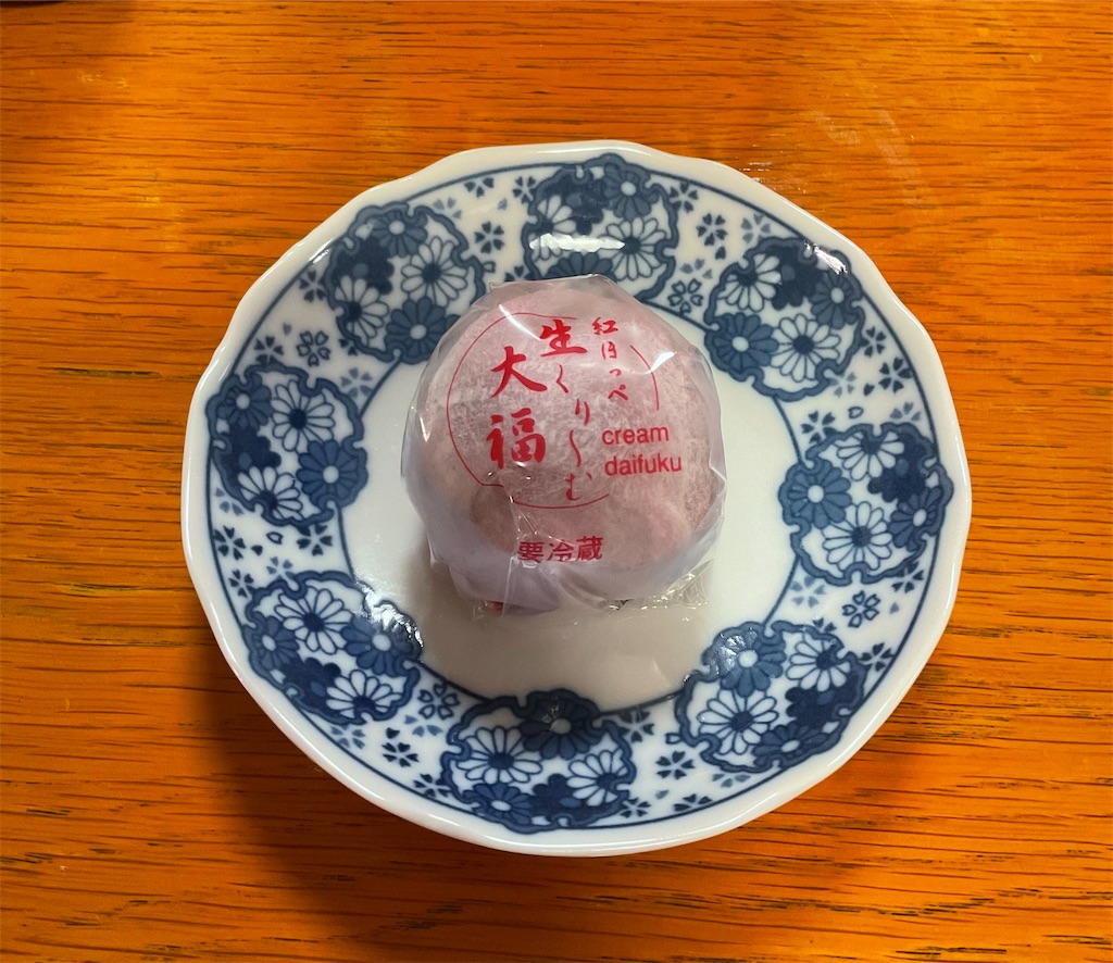 f:id:panda-mzlbk:20230603203344j:image