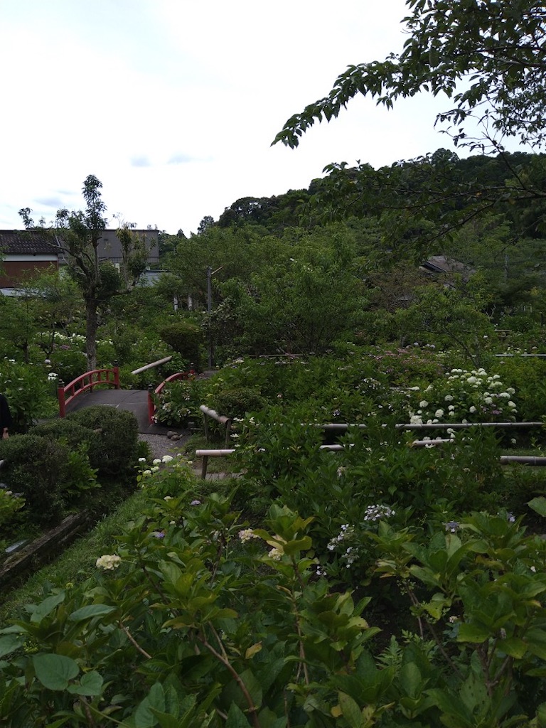 f:id:panda-mzlbk:20230618210522j:image